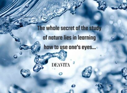 The-secret-of-nature-sayins-and-wise-quotes