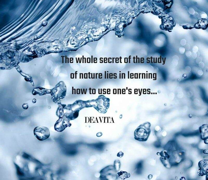 The-secret-of-nature-sayins-and-wise-quotes