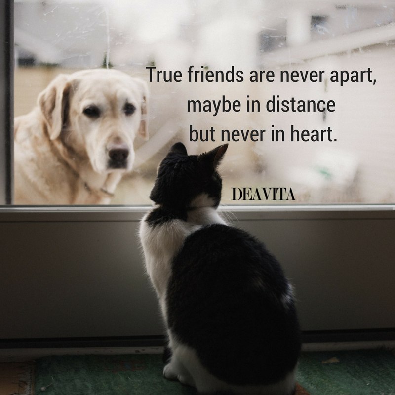 True friends short quotes with deep meaning