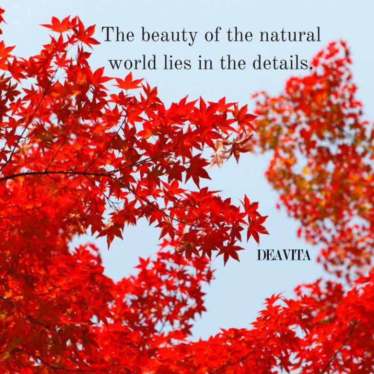 beauty and nature inspirational quotes