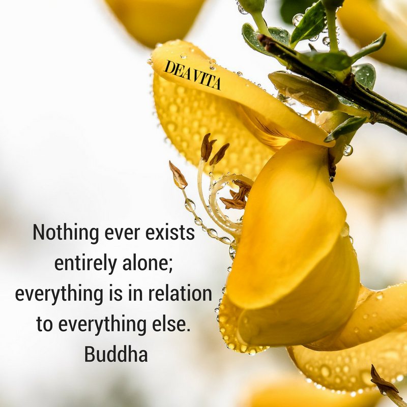best buddha quotes about life and relations