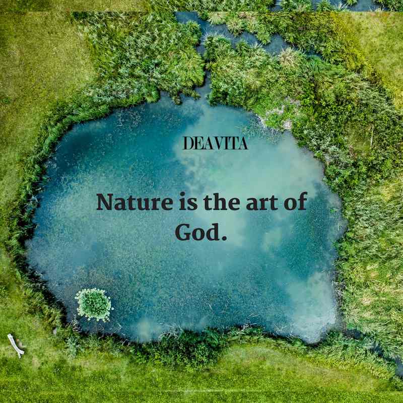 best quotes and sayings Nature is the art of God