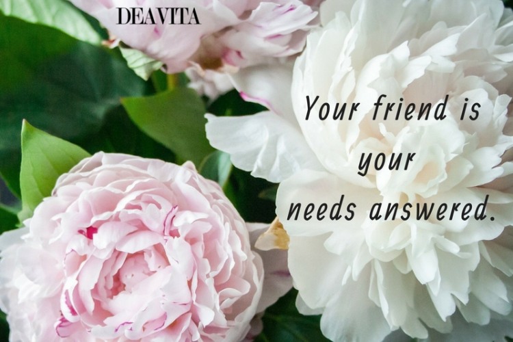 60 Friendship quotes with great photos to share with your friends