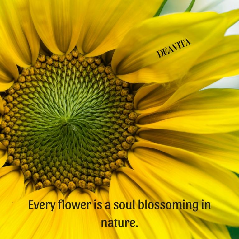 flowers and nature sayings and quotes