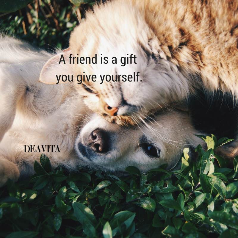 friendship quotes best friend sayings