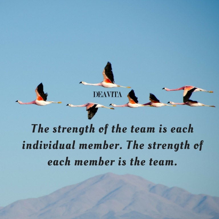 The best inspirational and motivational teamwork quotes with photos