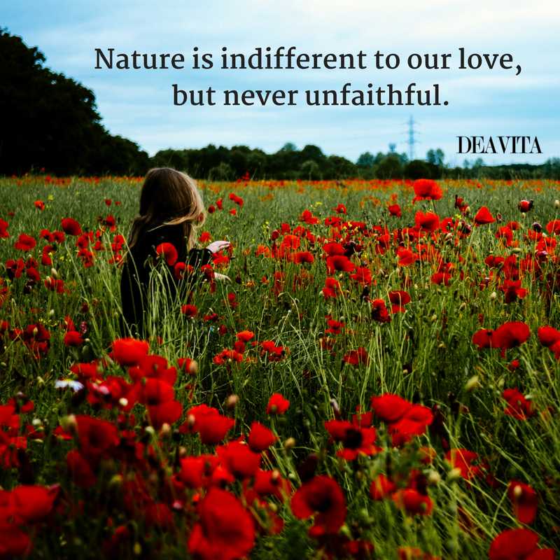inspiring short Nature and love quotes