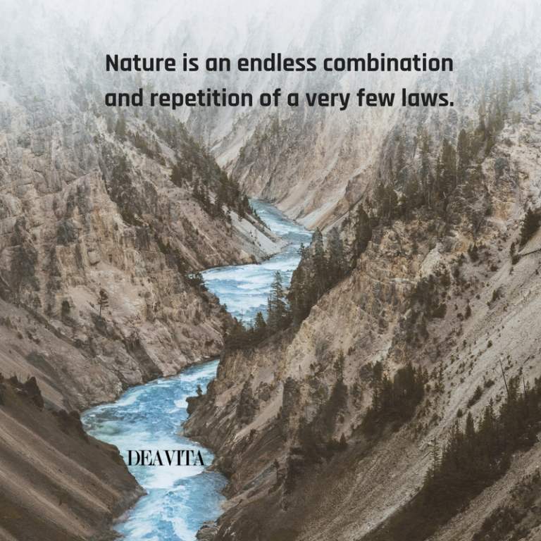 laws of Nature sayings and quotes