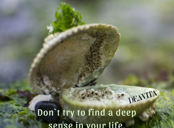 life-sense-quotes-with-photos