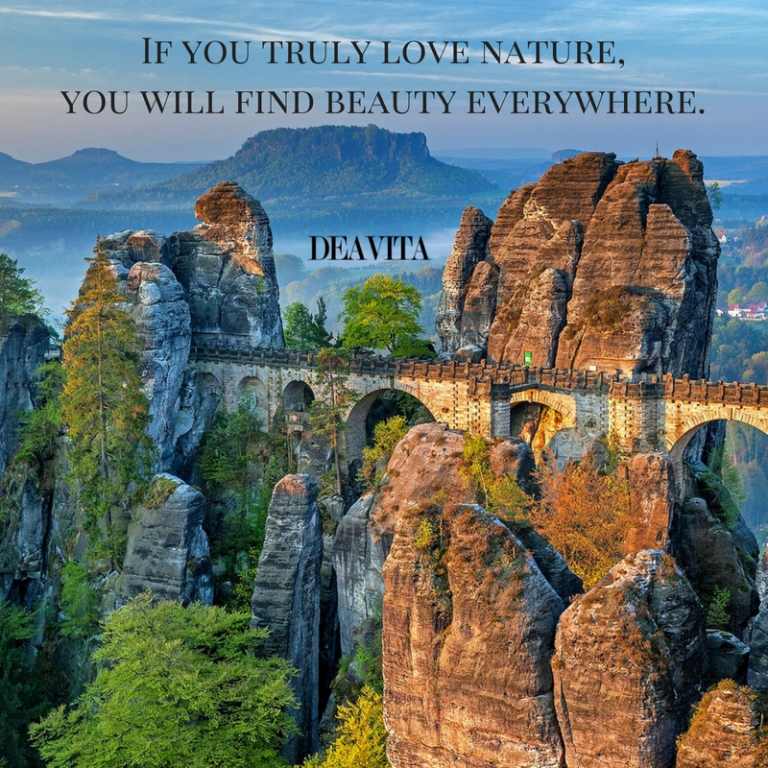 love nature and beauty quotes with fantastic photos