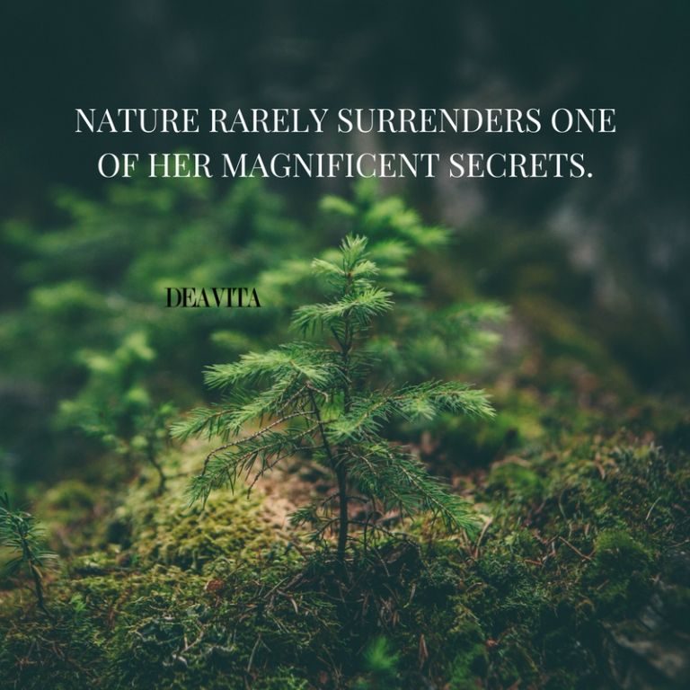 nature secrets sayings with deep meaning