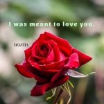 romantic-quotes-I-was-meant-to-love-you