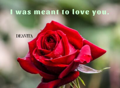 romantic-quotes-I-was-meant-to-love-you