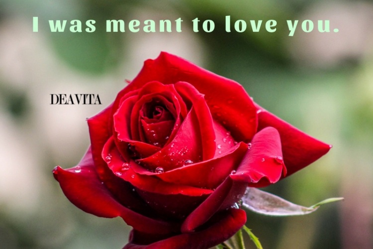 romantic-quotes-I-was-meant-to-love-you