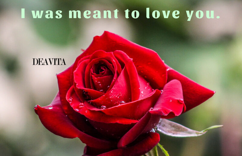 romantic-quotes-I-was-meant-to-love-you