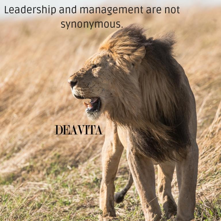 short deep leadership and management quotes