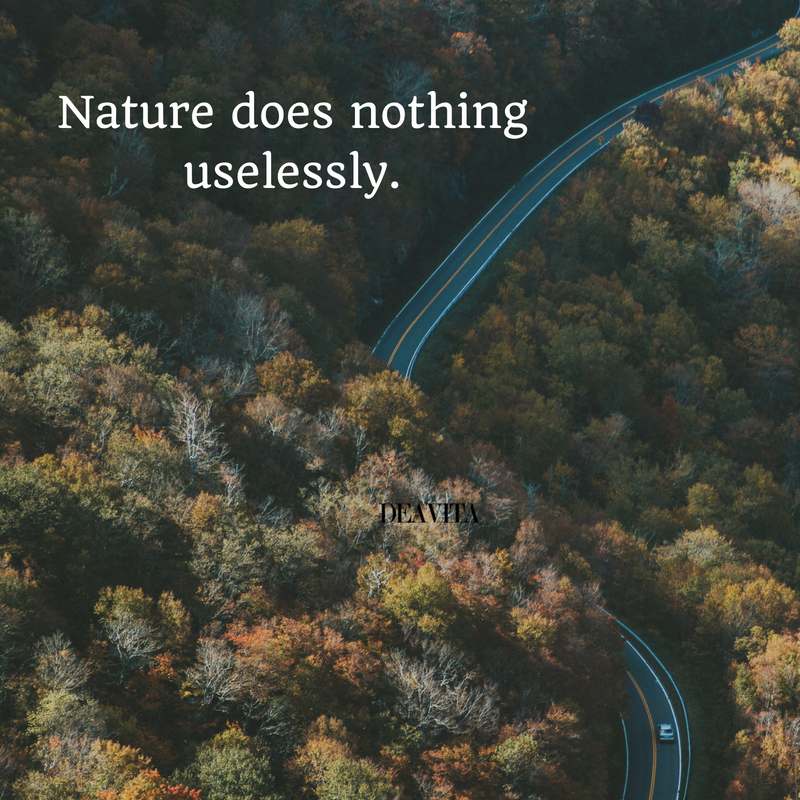 short inspirational quotes Nature does nothing uselessly