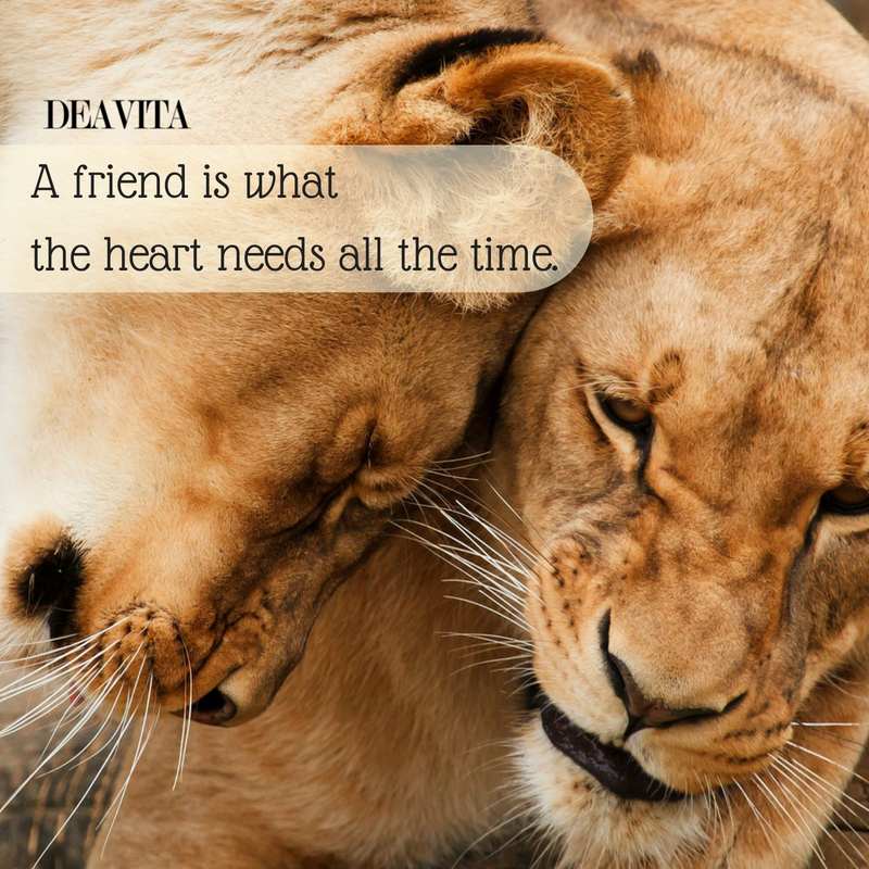 short inspirational quotes about friendship