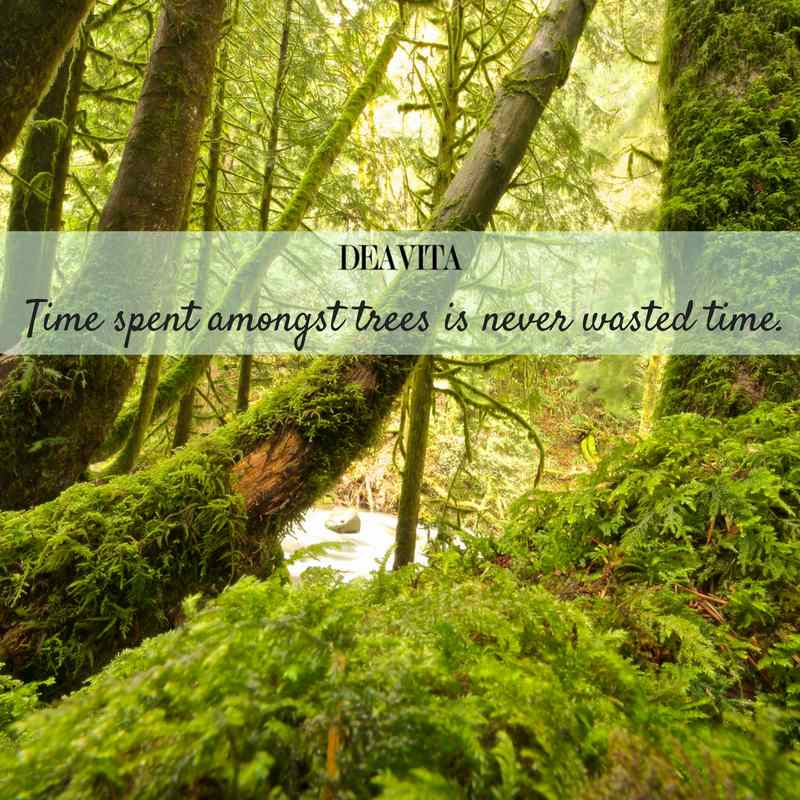 time life nature and beauty quotes