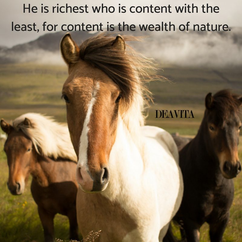 wealth of nature short sayings and wise quotes