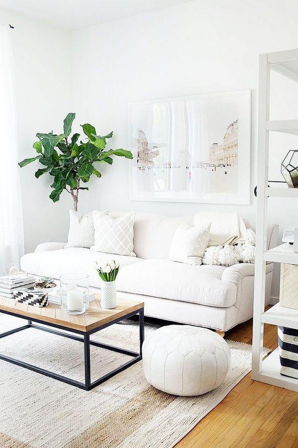 white living room and furniture wood flooring