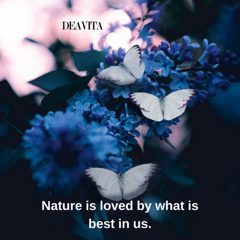 wise sayings Nature is loved by what is best in us