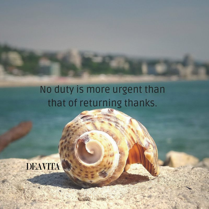 Best quotes about life and being thankful