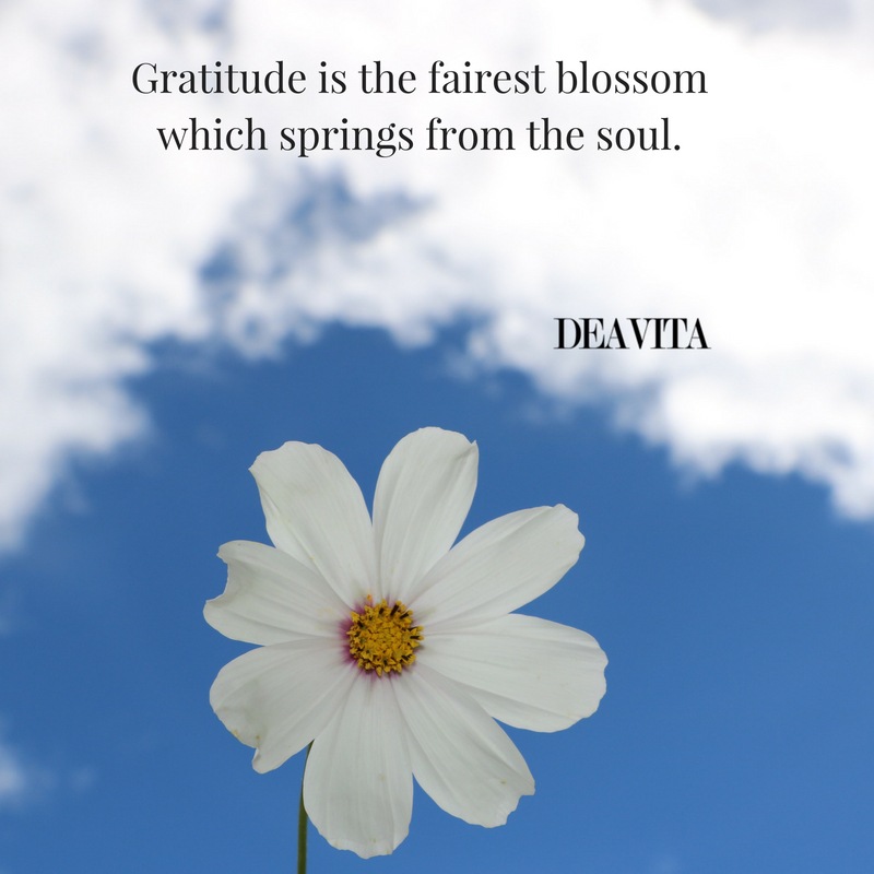 Best short deep quotes about being grateful Gratitude is the fairest blossom