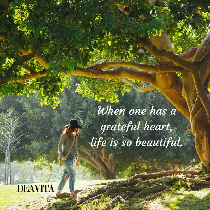 Cool deep quotes When one has a grateful heart life is so beautiful