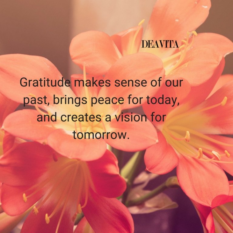Gratitude sayings and wise quotes to inspire you