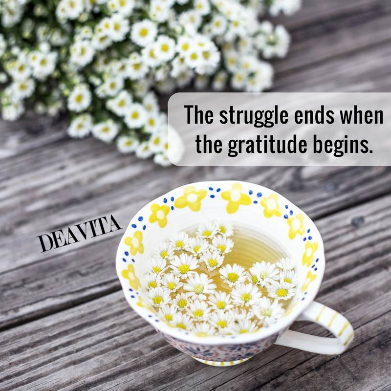 Short deep quotes The struggle ends when the gratitude begins