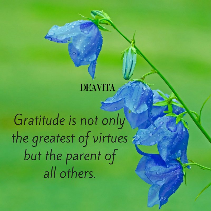 Short deep sayings about gratitude and life attitude