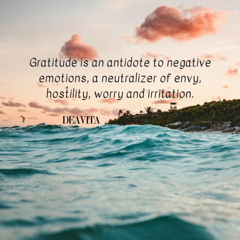 Wise quotes about gratitude hostility worry and irritation