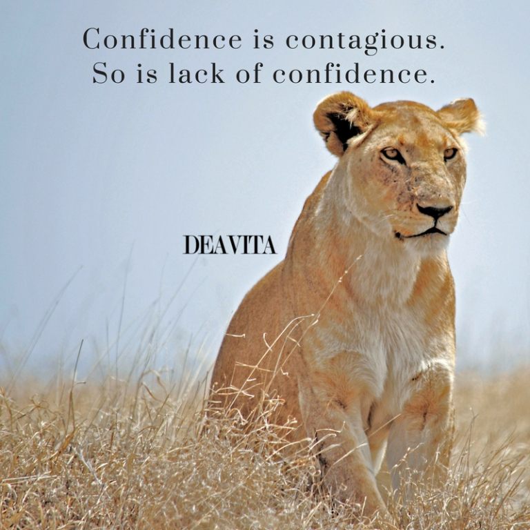 best short quotes about confidence