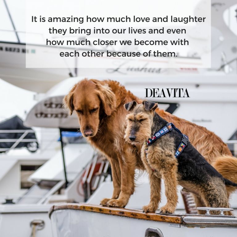 cute cards and quotes about dogs