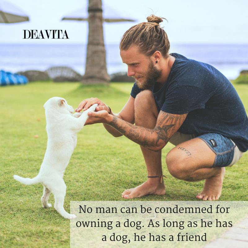 30 Dog quotes and sayings about man's best friend