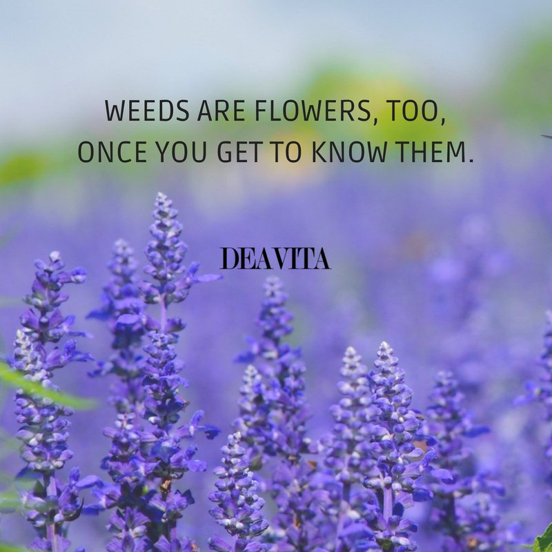 lovely winnie the pooh quotes about nature and flowers weeds are flowers