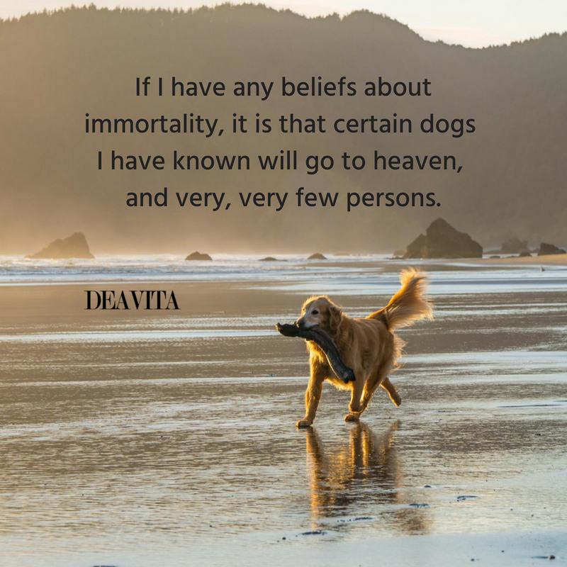 30 Dog Quotes And Sayings About Mans Best Friend