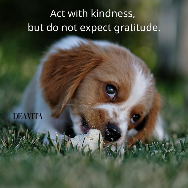 short deep gratitude and kindness quotes