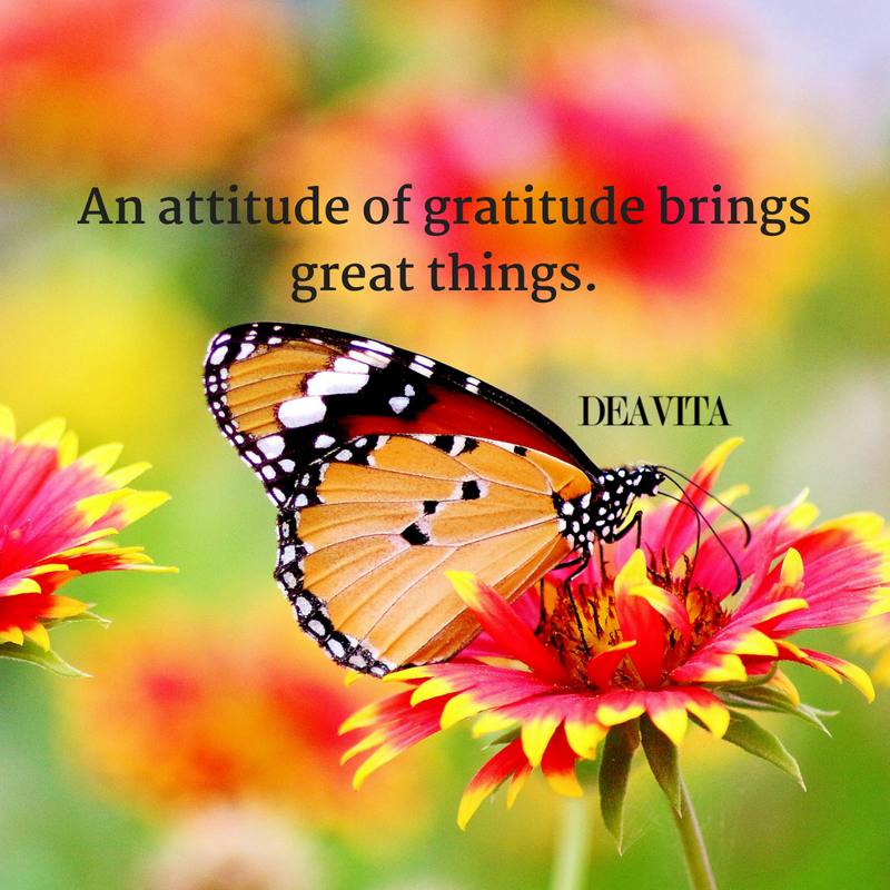 short quotes about attitude and gratitude