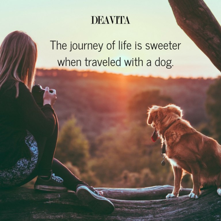 The journey of life quotes with photos