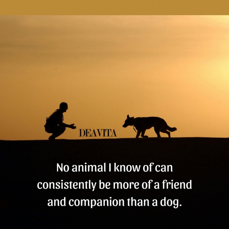 dogs and people friendship quotes and sayings with images