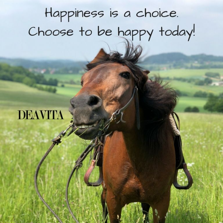quotes about happiness and life choice