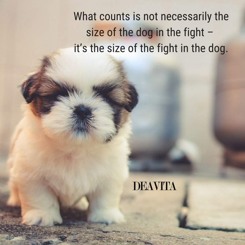 60 adorable dog quotes and sayings with lovely images