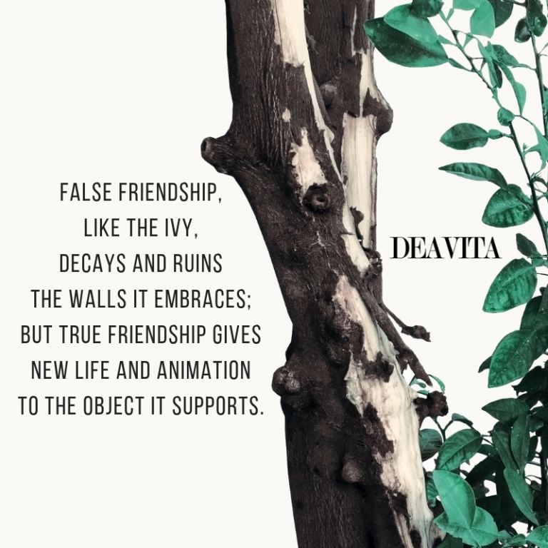 False and true friendship quotes inspirational words of wisdom