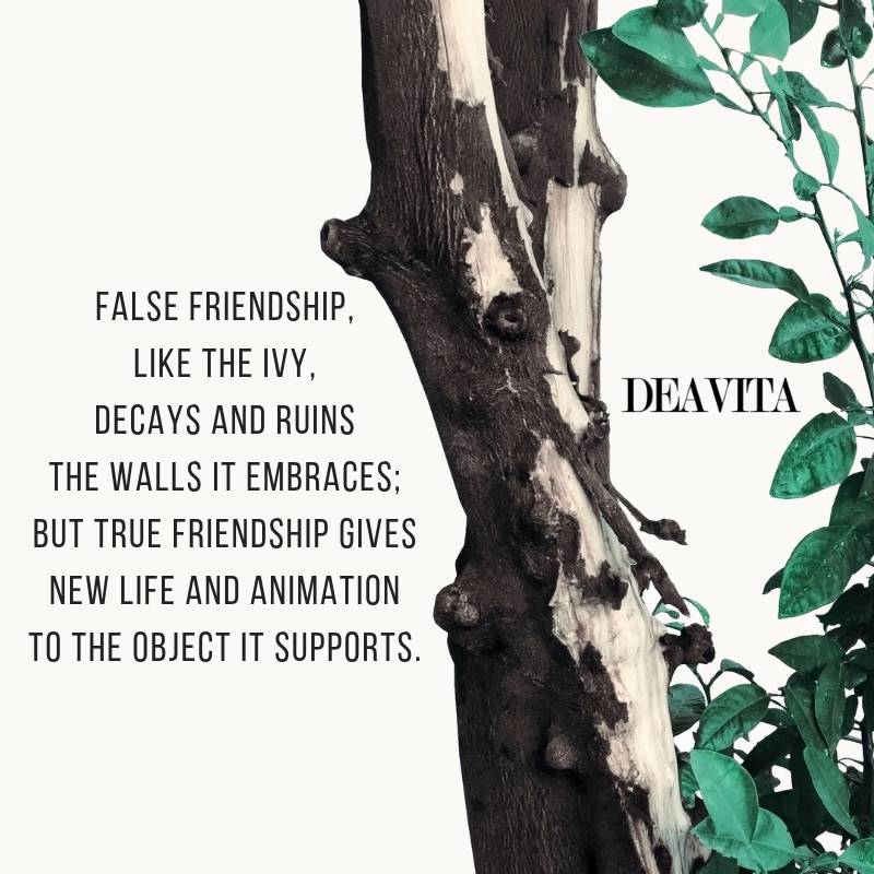 60 Fake friends quotes and wise sayings about false people