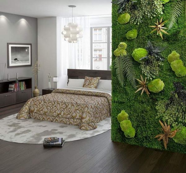bedroom decoration moss wall vertical garden ferns succulents