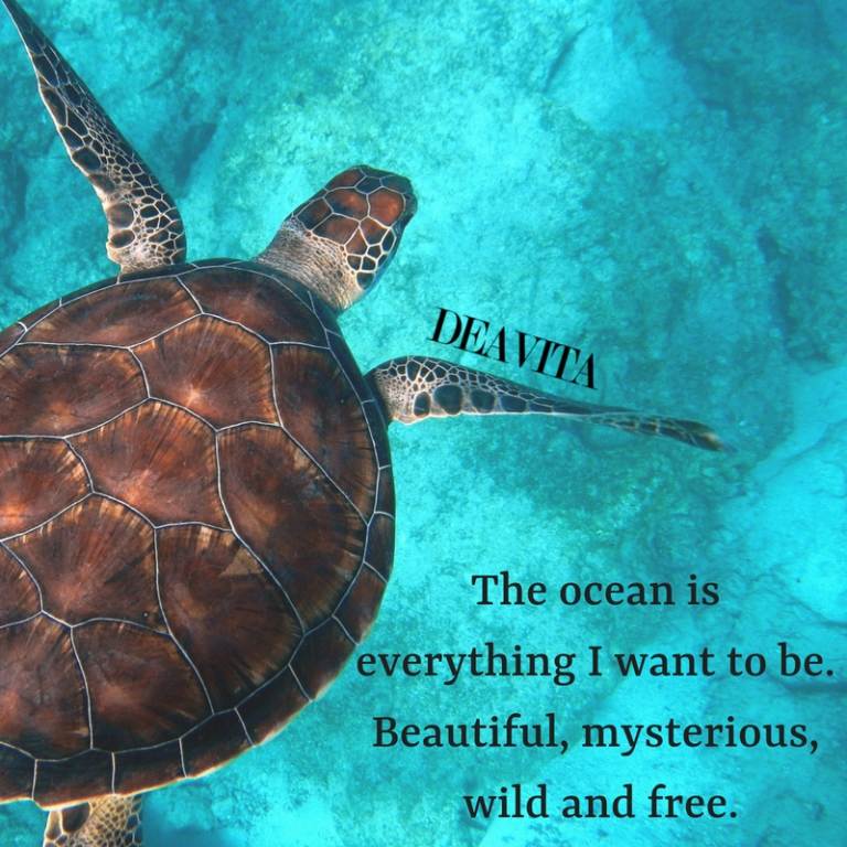 best ocean quotes with beautiful photos