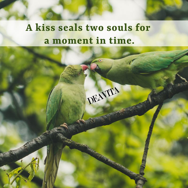 best short quotes kiss seals two souls for a moment in time