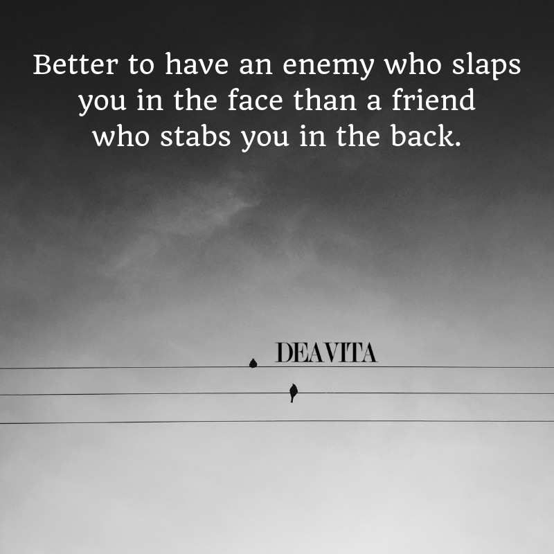 enemies and fake friends quotes wise thoughts about life